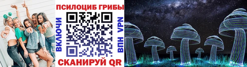 Купить  Миллерово  Галлюциногенные грибы мицелий 